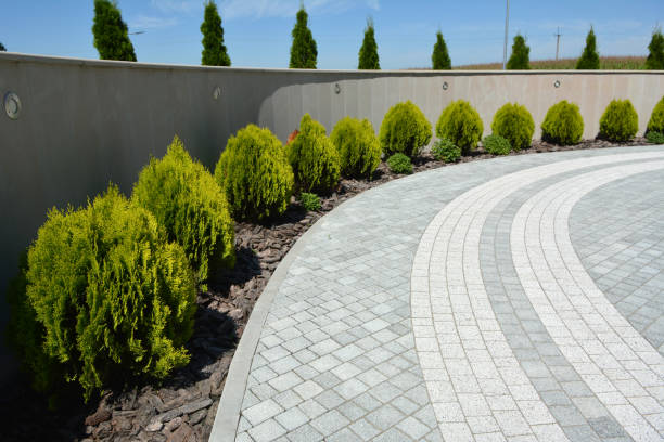 Driveway Repair Near Me in St Francis, WI